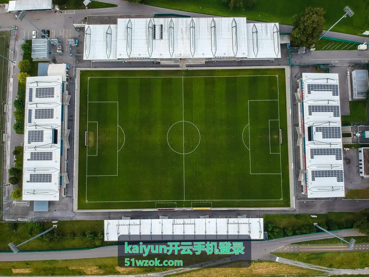 kaiyun开云手机登录手机端操作界面示意图
